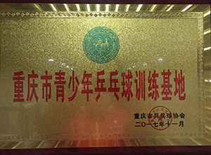 乒乓球培训
