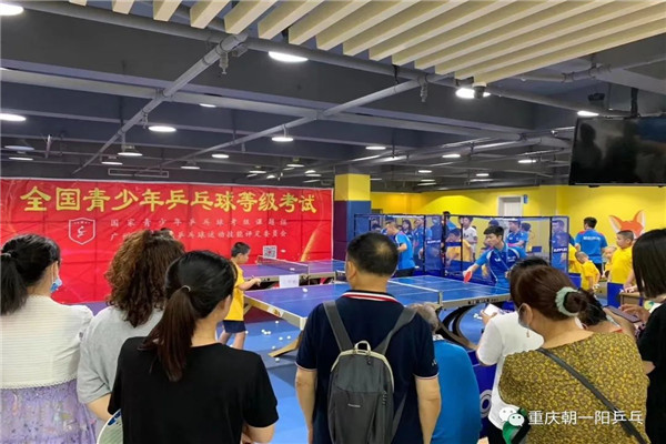 青少年乒乓球